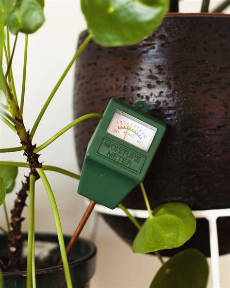 kamerplanten vochtmeter|vochtmeter voor planten.